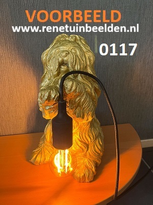 0117 hond strik voorbeeld foto. NL goud
