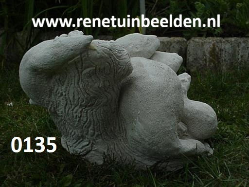 0135 de 3 otters achterkant. NL tuin