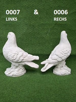 0006 & 0007 duiven achter kant