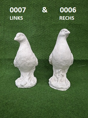 0006 & 0007 duiven voorkant